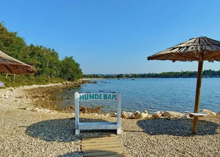 Villa Chiara With Private Pool And Garden